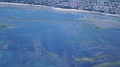 p0000044