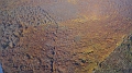 p1010126